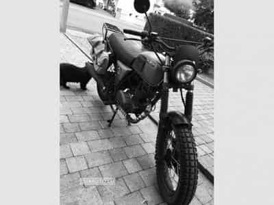 Brixton BX 125 Felsberg Limited (2020) - Foto 2