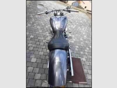 Yamaha XV 1700 Warrior (2004) - Photo 2