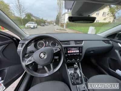 Skoda Octavia (2017) - Photo 5