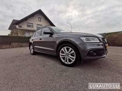Audi SQ5 (2017) - Photo 2