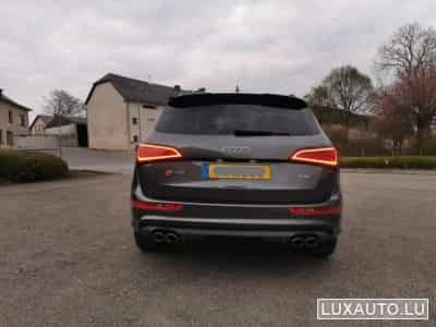 Audi SQ5 (2017) - Photo 3