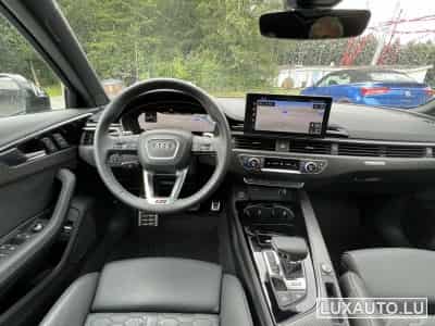 Audi RS4 (2022) - Photo 6