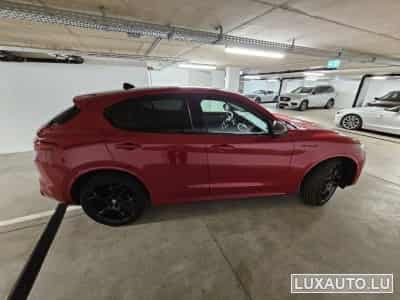 Alfa-Romeo Stelvio Estrema (2022) - Photo 4