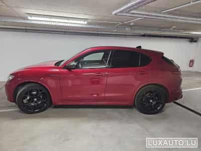 Alfa-Romeo Stelvio Estrema (2022) - Photo 5