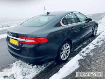 Jaguar XF XF 3.0 V6D 275PS (2014) - Photo 3
