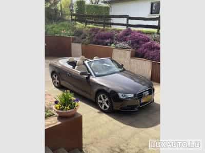 Audi A5 (2013) - Photo 3