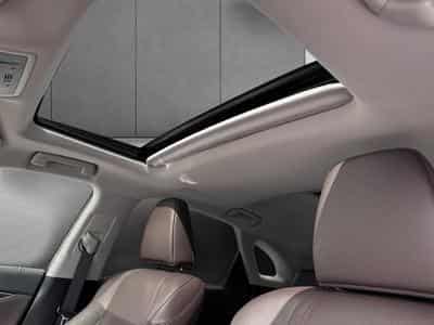 Lexus RX Executive Line (2022) - Foto 14