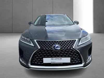 Lexus RX Executive Line (2022) - Foto 7