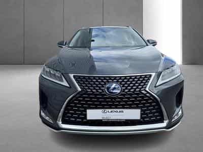 Lexus RX Executive Line (2022) - Foto 8