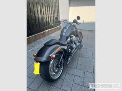 Harley-Davidson Fat Boy (2019) - Foto 2