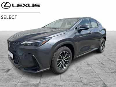 Lexus NX Business Line (2023) - Foto 1