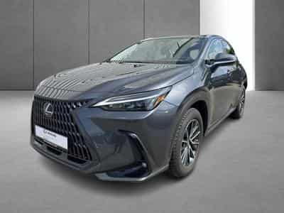 Lexus NX Business Line (2023) - Foto 10