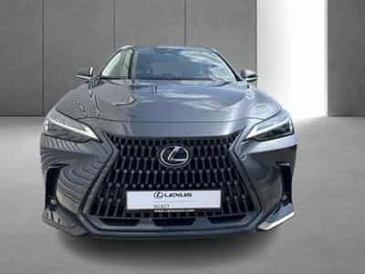 Lexus NX Business Line (2023) - Foto 6