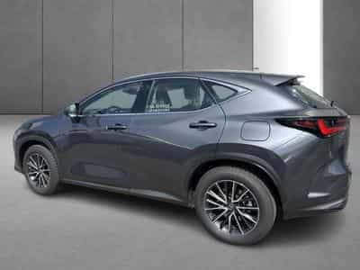Lexus NX Business Line (2023) - Foto 7