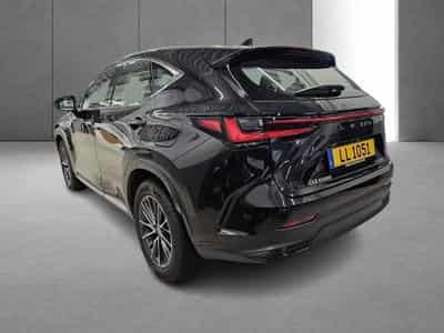Lexus NX Business Line Awd (2023) - Foto 6