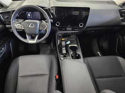 Lexus NX Business Line Awd (2023) - Foto 9