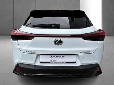 Lexus UX F SPORT Design (2023) - Foto 8