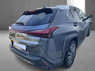 Lexus UX F SPORT Design (2023) - Foto 6