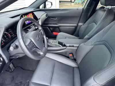 Lexus UX F SPORT Design (2023) - Foto 9