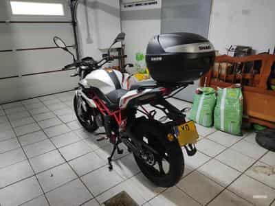 Benelli BN (2021) - Foto 1