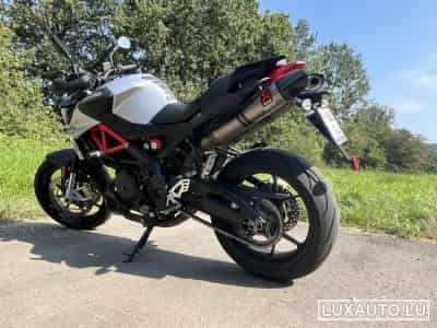 Aprilia Shiver Ligne Akrapovic (2019) - Foto 1