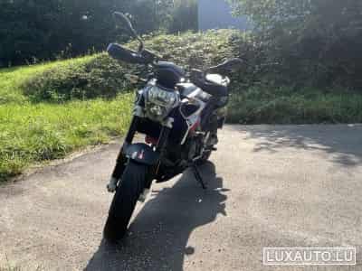 Aprilia Shiver Ligne Akrapovic (2019) - Foto 10