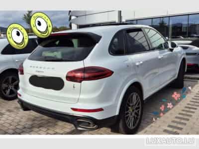 Porsche Cayenne Platinium (2018) - Foto 3