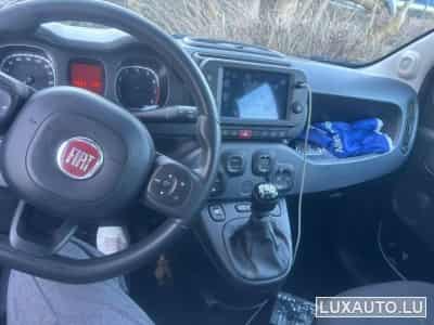 Fiat Panda (2023) - Foto 6