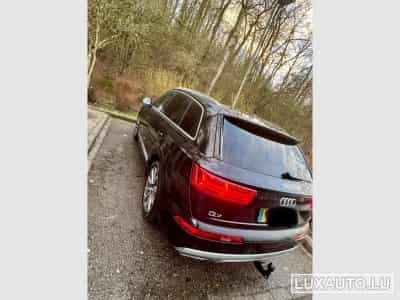 Audi Q7 S line (2016) - Photo 3