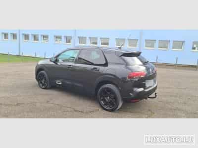 Citroën C4 Cactus PURETECH (2019) - Foto 2