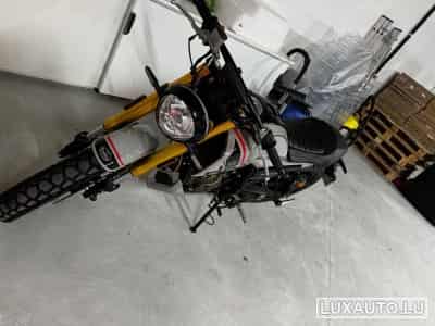 Mondial Hipster Couleur gris Nardo et noir (2023) - Foto 3