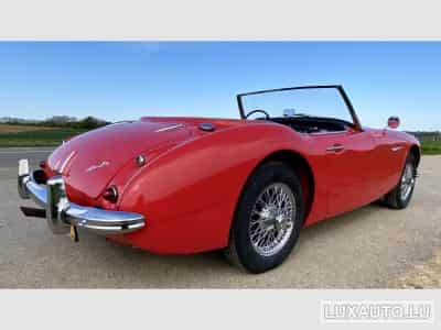 Austin-Healey 100 / 6 (1970) - Foto 3