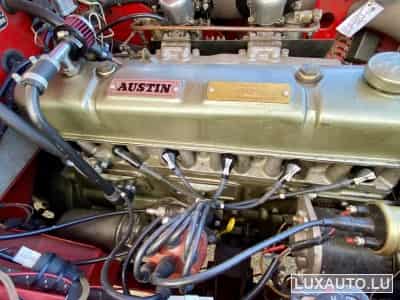 Austin-Healey 100 / 6 (1970) - Foto 9