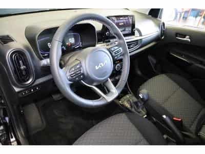 Kia Picanto Pulse (2025) - Photo 11