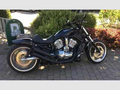 Harley-Davidson V-Rod CVO (2006) - Photo 3