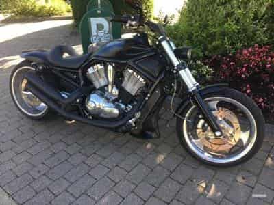 Harley-Davidson V-Rod CVO (2006) - Photo 4