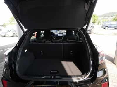 Ford Puma ST-Line Gold Edition 1.0i EcoBoost mHEV 155ps A7 GAR 09/2027 (2022) - Foto 5