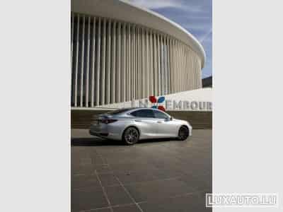 Lexus ES Explorer Line / Business (2024) - Foto 3