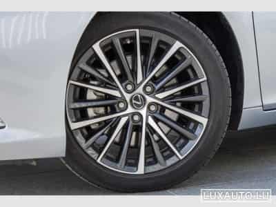 Lexus ES Explorer Line / Business (2024) - Foto 6