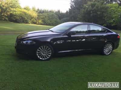 Jaguar XF (2015) - Photo 6