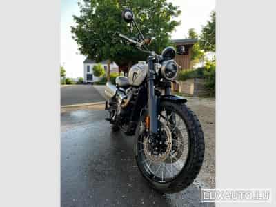 Triumph Scrambler Seitentasche, Quad Lock (2024) - Foto 3