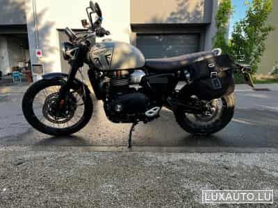 Triumph Scrambler Seitentasche, Quad Lock (2024) - Foto 7