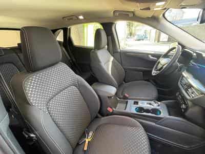 Ford Kuga Titanium 2.5 FHEV 180cv (2025) - Foto 11