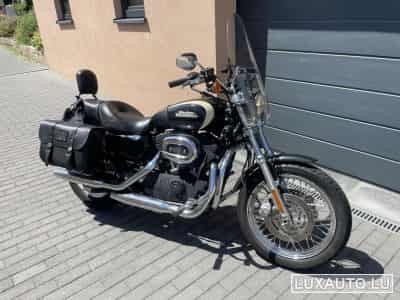 Harley-Davidson Roadster 1200 (2008) - Foto 1