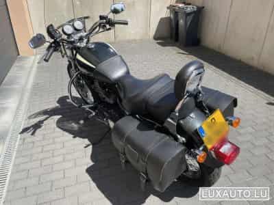 Harley-Davidson Roadster 1200 (2008) - Foto 2