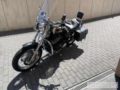 Harley-Davidson Roadster 1200 (2008) - Foto 6