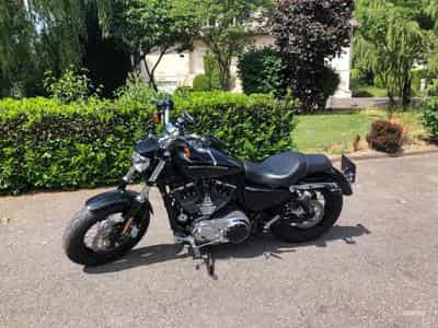 Harley-Davidson Custom Noire (2019) - Photo 1