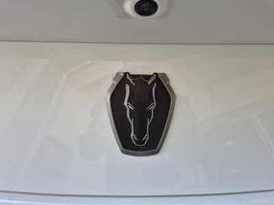 Ford Mustang STEEDA Q767 (2024) - Foto 7