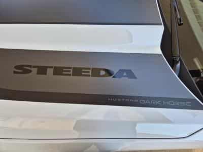 Ford Mustang STEEDA Q767 (2024) - Foto 9