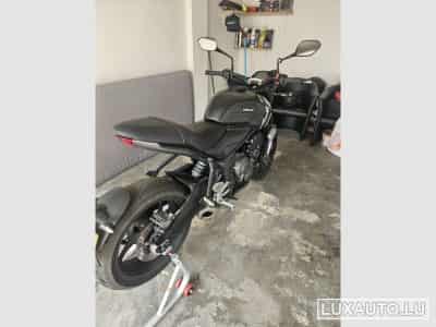 Triumph Trident Quick shifter, Heated grips, Bugspoiler, Engine guard, Bluet (2021) - Foto 2